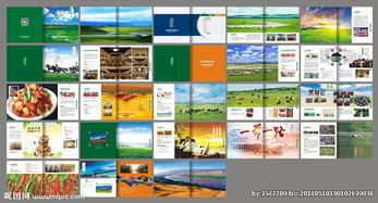 融合新疆風情與現(xiàn)代科技 新疆特產(chǎn)公司畫冊圖片軟件銷售方案